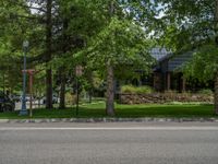 a road and trees line a residential street in a residential area in a neighborhood with no parking