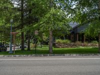 a road and trees line a residential street in a residential area in a neighborhood with no parking