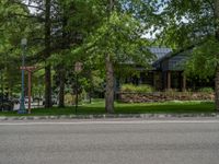 a road and trees line a residential street in a residential area in a neighborhood with no parking