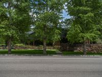 a road and trees line a residential street in a residential area in a neighborhood with no parking