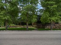 a road and trees line a residential street in a residential area in a neighborhood with no parking