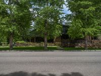 a road and trees line a residential street in a residential area in a neighborhood with no parking