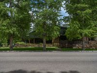 a road and trees line a residential street in a residential area in a neighborhood with no parking