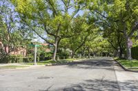 Suburban Environment in Los Angeles Residential Area