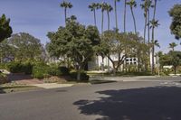 A Suburban Home in Los Angeles: Surrounded by Trees and Vegetation