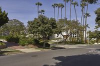 A Suburban Home in Los Angeles: Surrounded by Trees and Vegetation