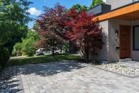 brick driveway in front of a modern home with a door and brick patio area that has colorful trees and shrubs on the other side