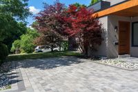 brick driveway in front of a modern home with a door and brick patio area that has colorful trees and shrubs on the other side