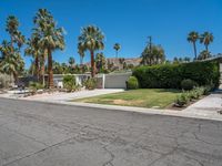 Suburban Homes with Green Grass and Clear Sky