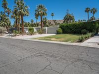 Suburban Homes with Green Grass and Clear Sky