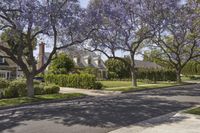 Suburban Homes in Los Angeles - Beverly Hills 001