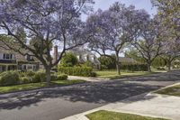 Suburban Homes in Los Angeles: Beverly Hills 002