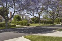 Suburban Homes in Los Angeles - Beverly Hills 003