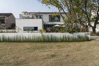 a couple of houses that have some grass by it outside of them outside of the house