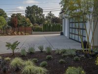 Suburban Landscape with Asphalt Road and House