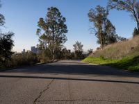 Suburban Los Angeles: Straight Roads and Urban Vibes