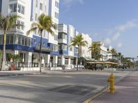 city street with buildings on both sides and palm trees around the corner with a yellow fire hydrant sitting in the middle