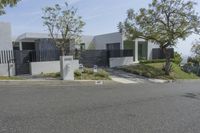 Suburban Neighborhood in Los Angeles, California