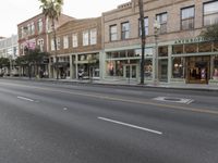 empty street with shops and cars lining the sidewalk in an urban area with palm trees