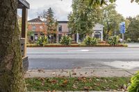 Suburban Neighborhood in Canada: Ontario's Gloomy Day