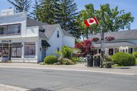 Suburban Neighborhood: A Daytime View Under a Clear Sky