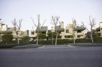 trees that are outside by a building near a street corner that reads pacific ave, with a blue sky in the background