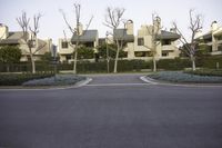 trees that are outside by a building near a street corner that reads pacific ave, with a blue sky in the background