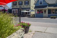 Suburban Neighborhood with Houses and Vegetation