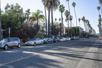 Suburban Neighborhood in Los Angeles, California, USA