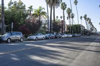Suburban Neighborhood in Los Angeles, California, USA