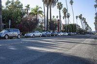 Suburban Neighborhood in Los Angeles, California, USA