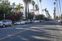 Suburban Neighborhood in Los Angeles, California, USA