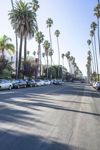 Suburban Neighborhood in Los Angeles, California, USA