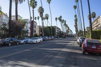 Suburban Neighborhood in Los Angeles, California, USA