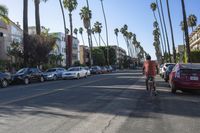 Suburban Neighborhood in Los Angeles, California, USA