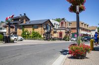 Suburban Neighborhood with Tree-Lined Roads