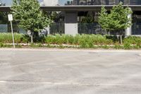 Suburban Neighborhood with Tree-Lined Streets in Toronto