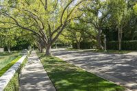 a sidewalk along the side of a road with trees and grass on both sides of the path