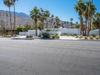 Suburban Oasis in Palm Springs - Mid Century 001