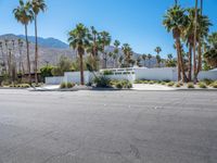 Suburban Oasis: Palm Springs Mid-Century [002]