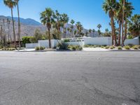 Suburban Oasis in Palm Springs Mid-Century