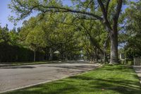 Suburban Park in Los Angeles, California