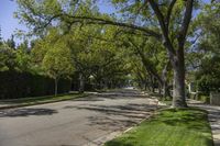 Suburban Park in Los Angeles, California