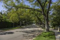 Suburban Park in Los Angeles, California