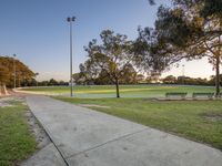 a bench, tree and grass area with street lights above them at sunset time in park