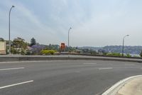 this is an image of a street corner near water and buildingss with trees in the background