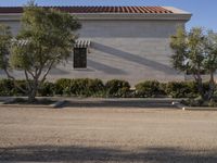 Suburban Residential Area in Los Angeles