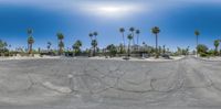 a wide angle photograph of the empty lot in front of the houses with palm trees behind them