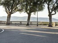 Suburban Residential Area in Tuscany