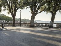 Suburban Residential Area in Tuscany